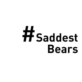 #SaddestBears #SaddestBears