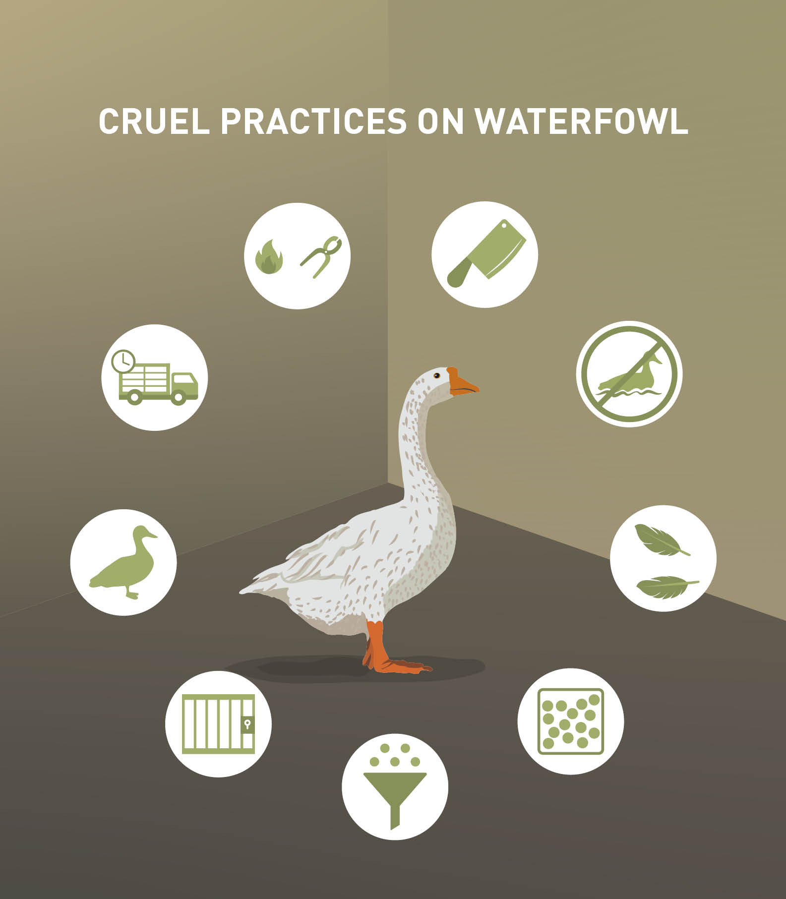 Cruel Practices on Waterfowl Cruel Practices on Waterfowl