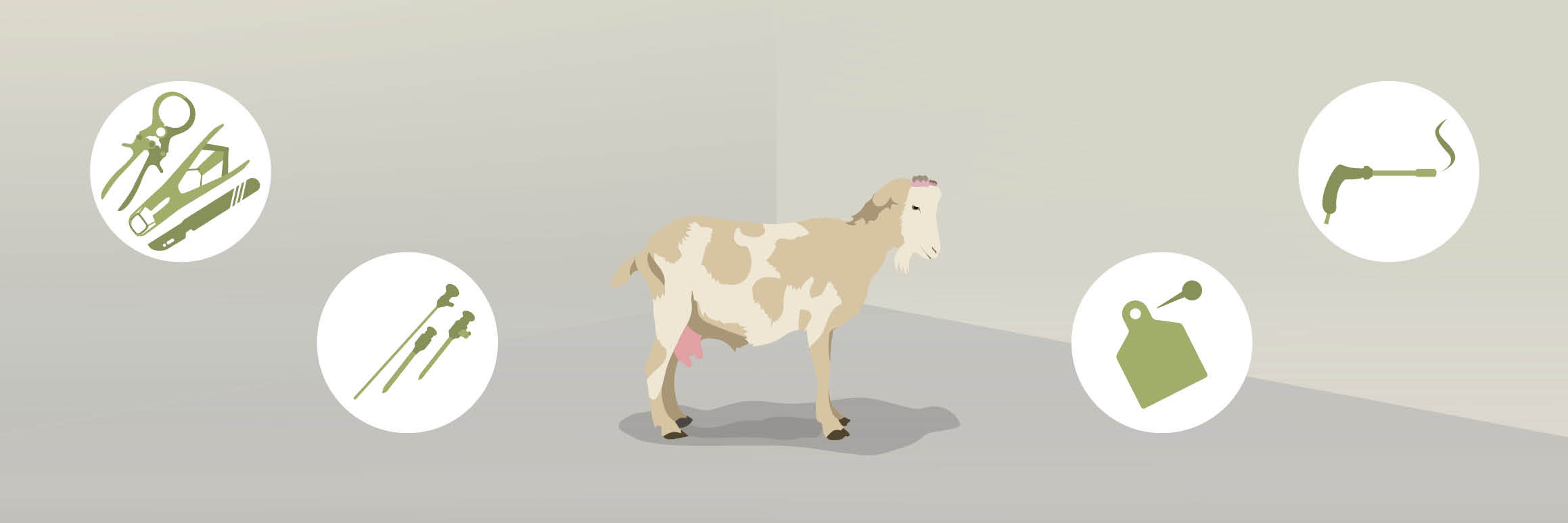 Mutilations of goats Mutilations of goats