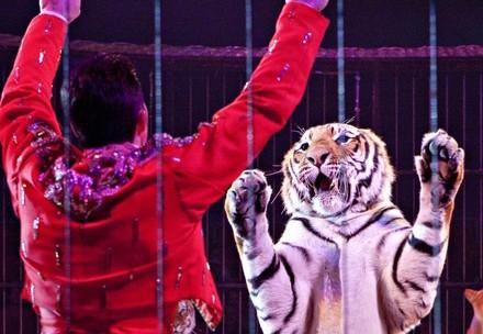 Tamer and tiger in a circus