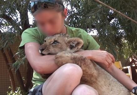 cub petting