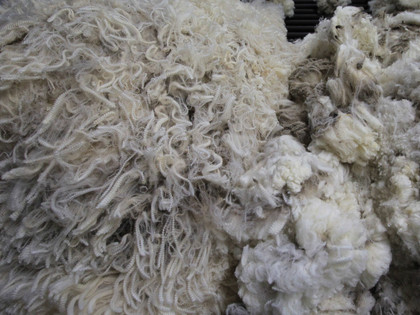 Wool industry