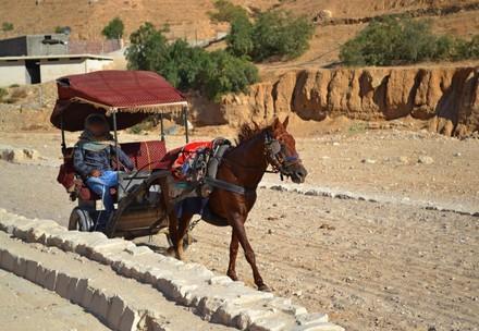Horse drawn cart