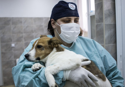 Animal Welfare and COVID-19 Animal Welfare and COVID-19