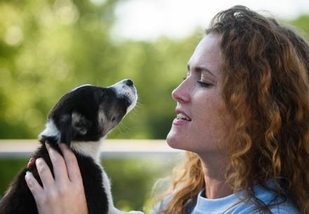 Puppy and its owner