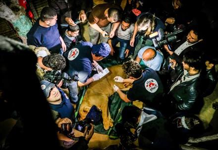 Gaza Strip rescue mission