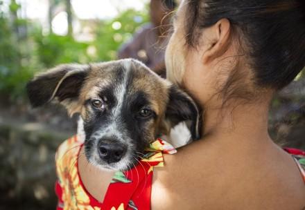30,000 animals vaccinated against rabies