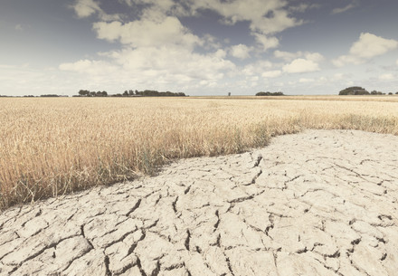 Dry land