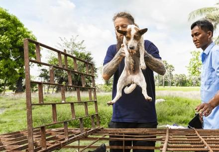A Slaughterhouse Shutdown in Cambodia A Slaughterhouse Shutdown in Cambodia