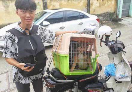 Rescue dogs Rum and Cola Local activist, taking the dogs to safety on the back of his motorbike