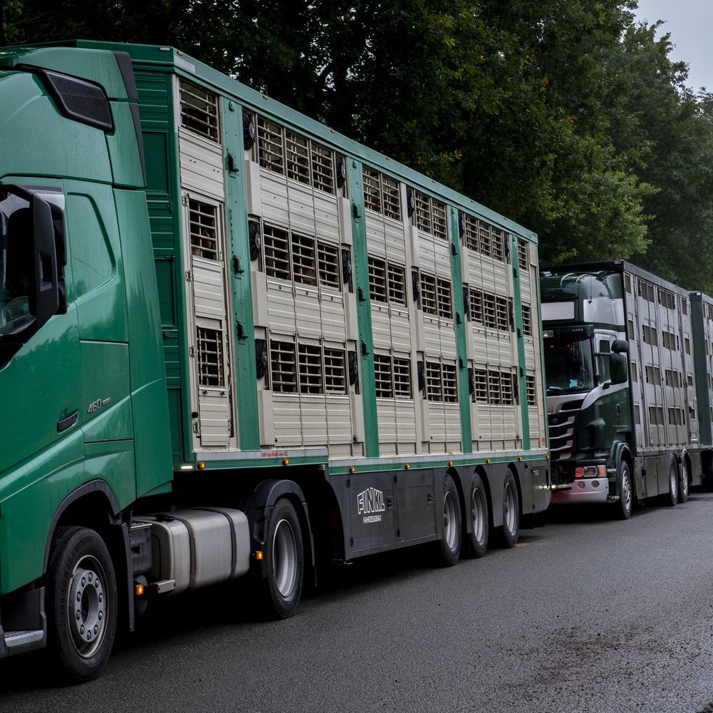 Live Animal Transport Live Animal Transport