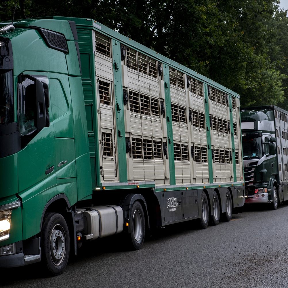 Live animal transport truck Live animal transport truck