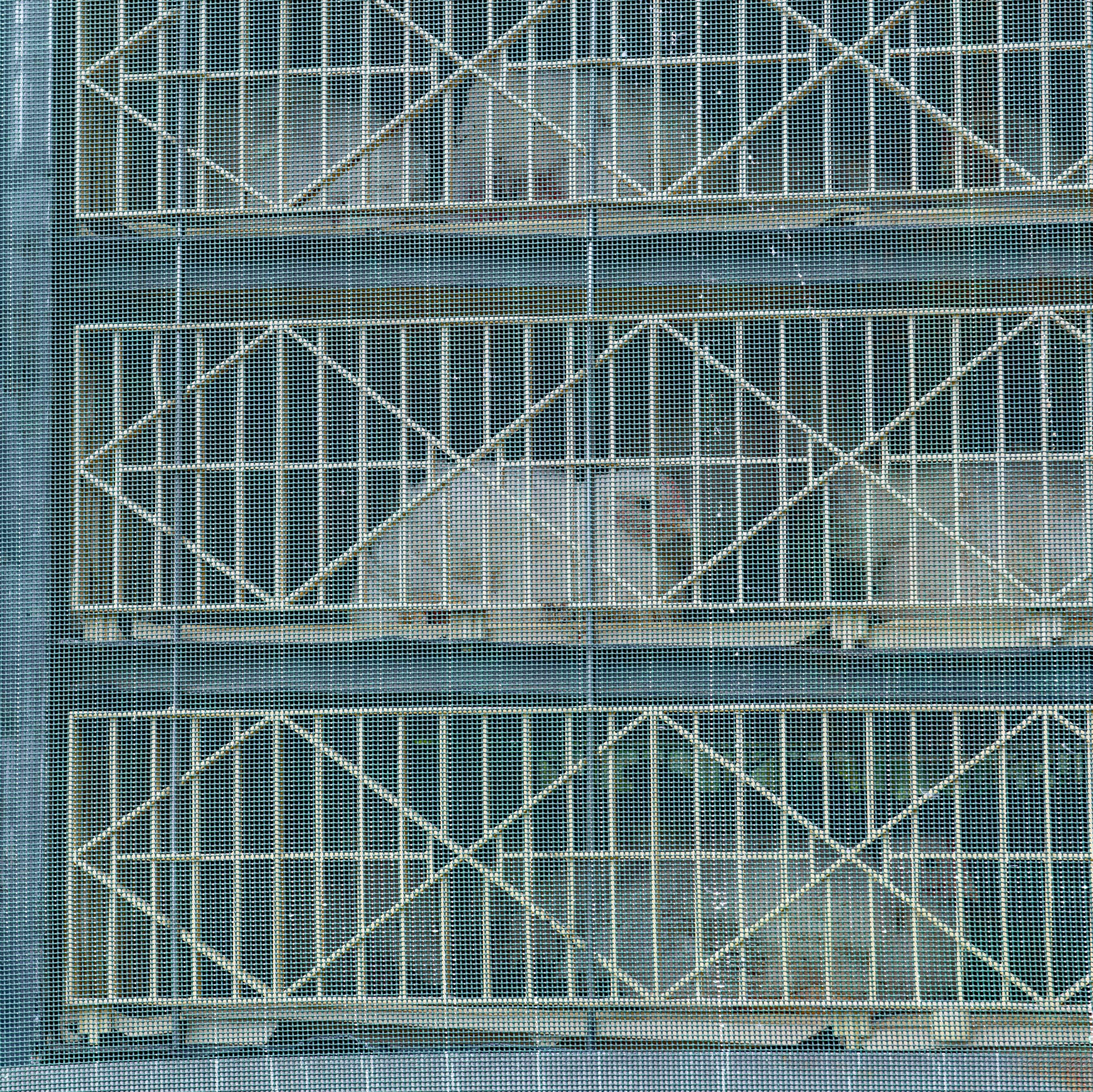 Chicken on a transport truck Chicken on a transport truck