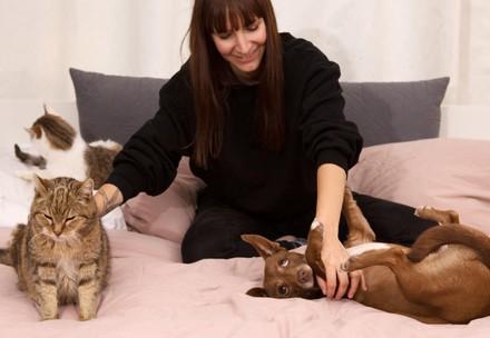 Dog and cat in home