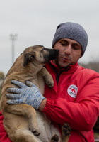 FOUR PAWS survey in Ukraine