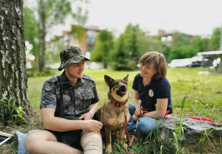 Therapy dog Busia