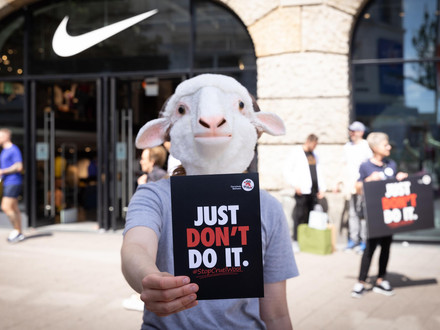 Campaigner in sheep costume