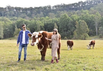 Taming Fashion: Choosing Kindness in the Fashion Industry
