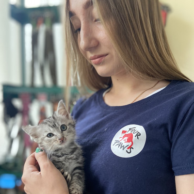 How Help For Stray Animals Kept Hope Alive