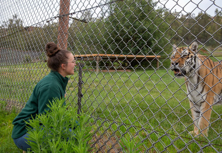 Volunteer at LIONSROCK