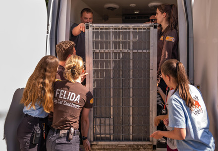 Team at FELIDA is lifting a transport crate
