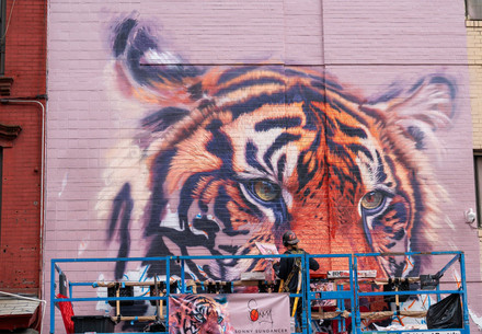 Tiger mural in New York