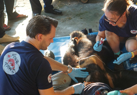 Emergency Rescue of Bile Bear Khanh