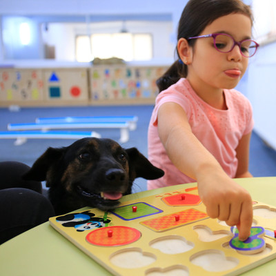 Animal Assisted Interventions dog Bumi Animal Assisted Interventions dog Bumi