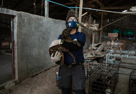Slaughterhouse closure in Skun