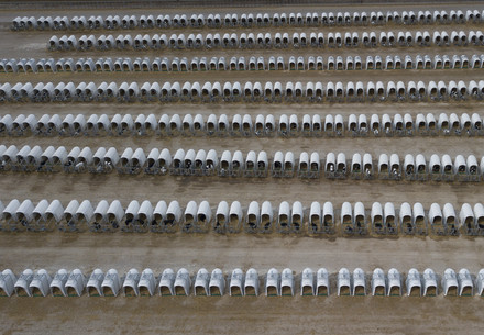 Calf farm in Spain