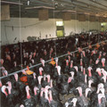 Turkey farm Turkey farm