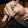 Scapel used for castration