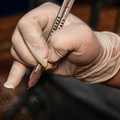 Scapel used for castration
