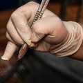 Scapel used for castration Scapel used for castration