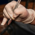 Scapel used for castration Scapel used for castration