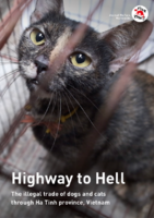 Highway to Hell Report