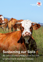 Sustaining our Soils: