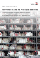 Prevention and Its Multiple Benefits