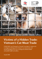 Victims of a Hidden Trade in Vietnam
