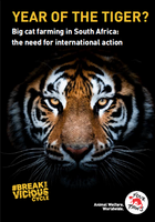 Year of the Tiger Report