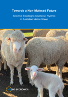 Towards a Non-Mulesed Future 