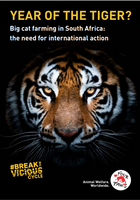 Year of the Tiger Report 