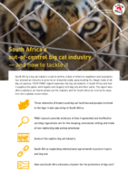 Big Cat Trade Report Summary